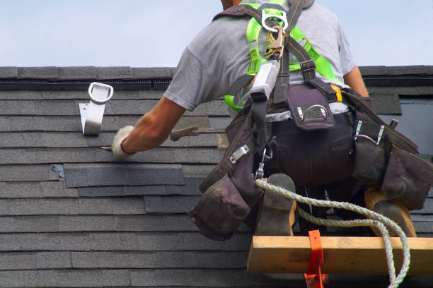 Best Roof Gutter Cleaning  in Powder Springs, GA